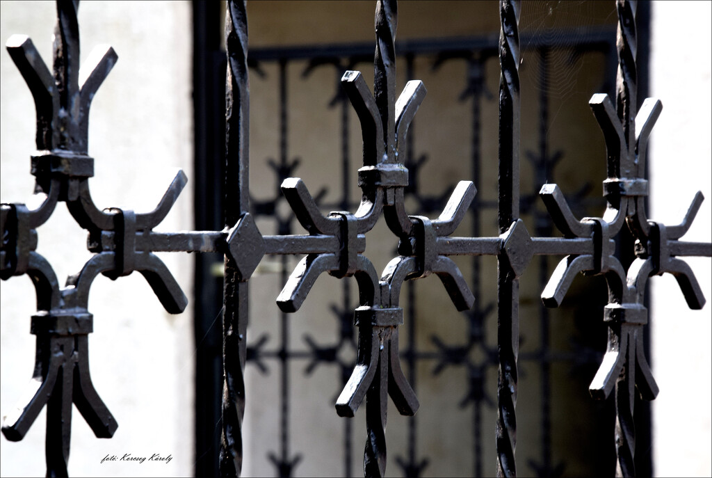 Gates and fences by kork