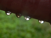 4th Aug 2023 - Four Raindrops on Railing 