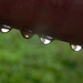 Four Raindrops on Railing  by sfeldphotos