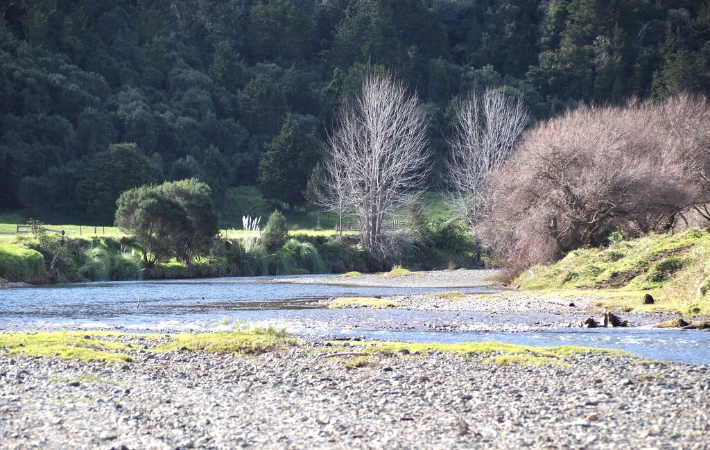 This little gem of a spot was found down a no exit Road so tranquil  by Dawn