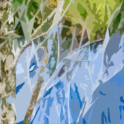 4th Aug 2023 - Abstract 4 - Wetlands