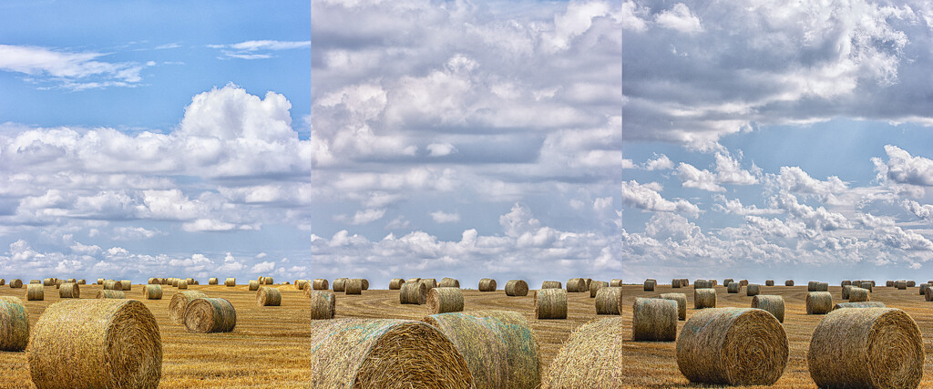 bales by aecasey