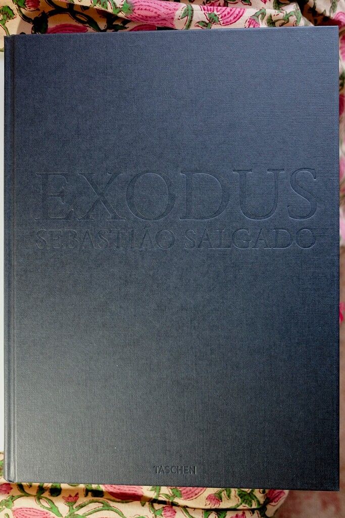 Exodus by Sebastião Salgado by allsop