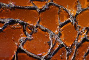 5th Aug 2023 - Broken glass abstract