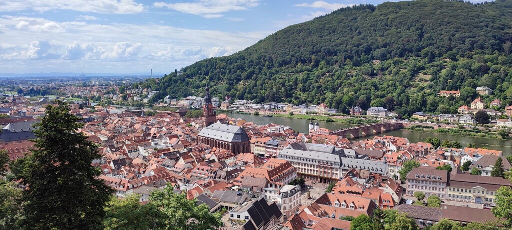 Heidelberg view (Germany) by franbalsera