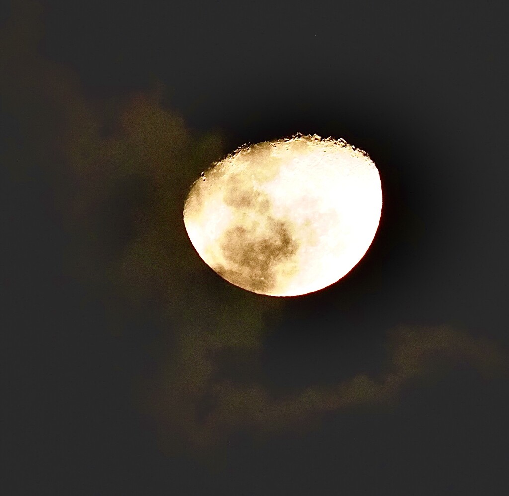 Last nights waning moon and wispy clouds by Dawn