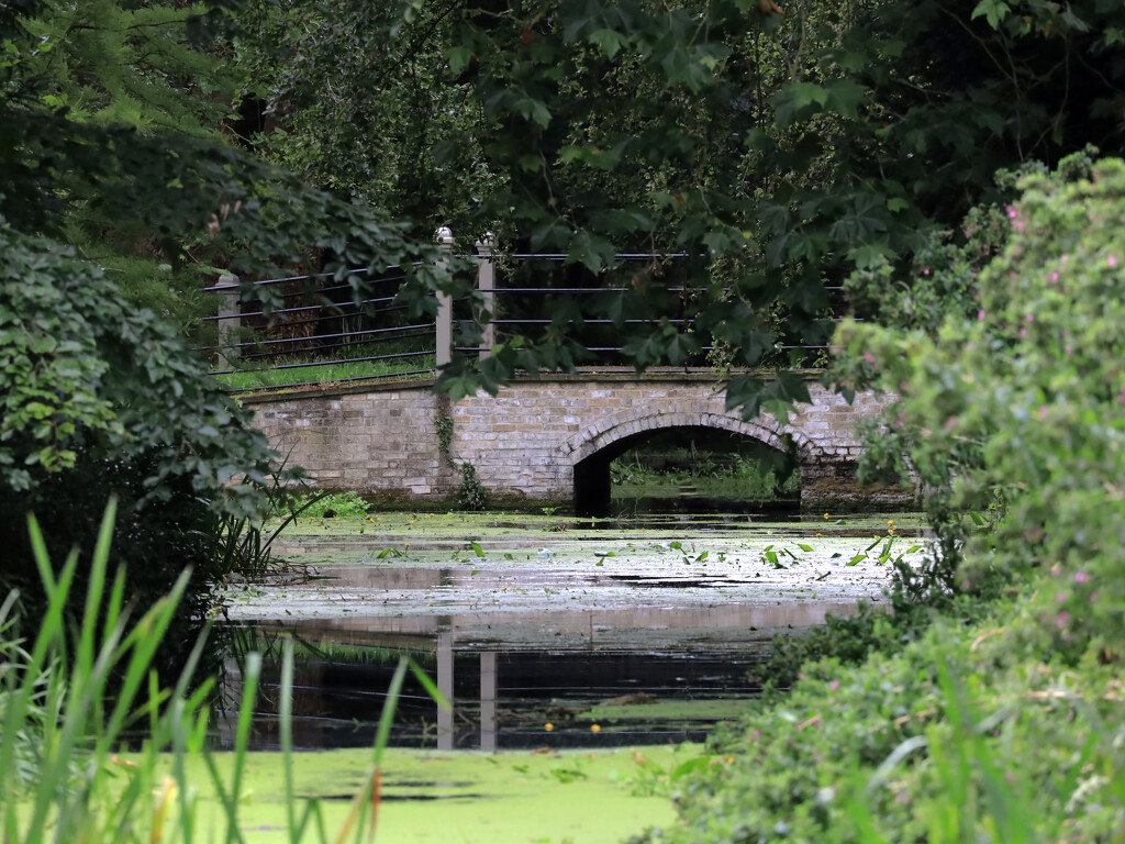 Brick built horse and cart bridge over a mill stream........837 by neil_ge