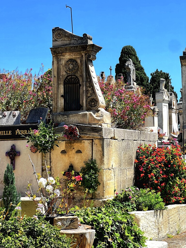 Cemetery, Arles  by rensala