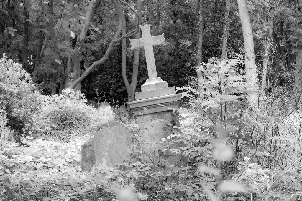 Highgate Cemetery  by 365nick