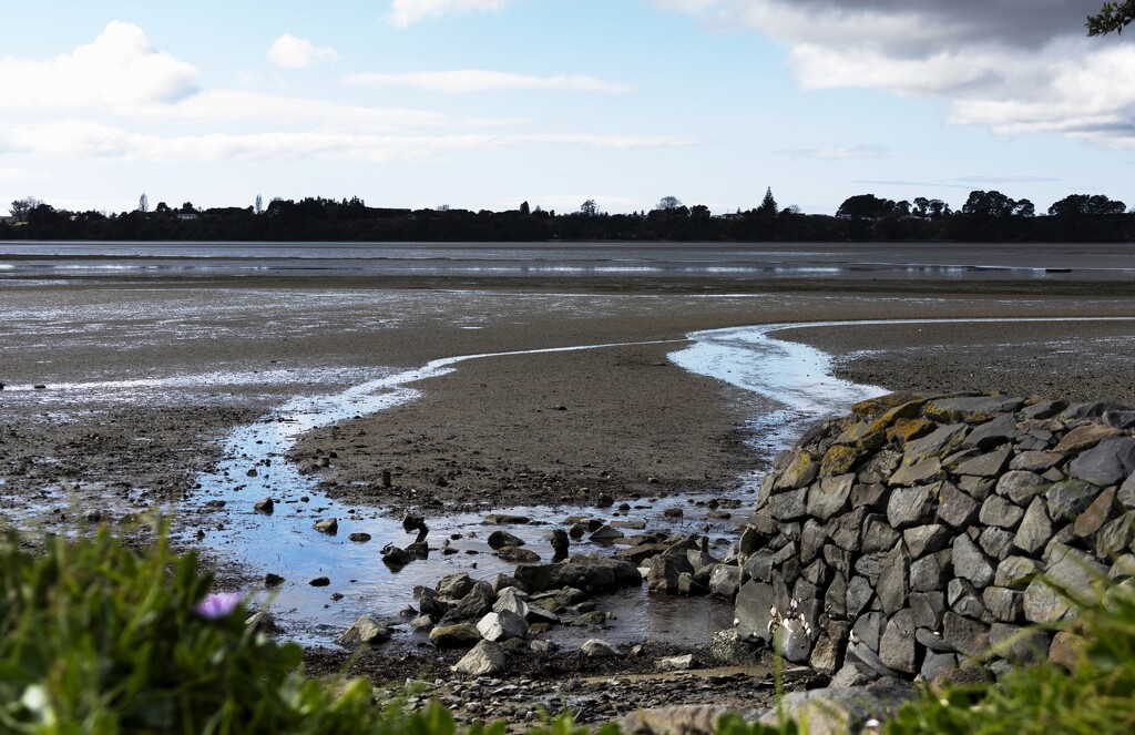 The Tides out by sandradavies