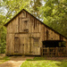 1876 Barn In the Walter Jones Historical Park! by rickster549