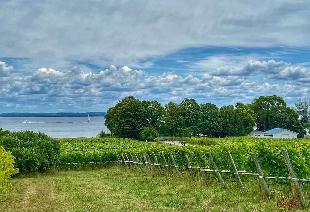 Old Mission Peninsula by amyk