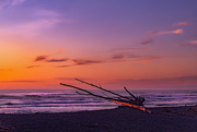 3rd Aug 2023 - Otaki Beach sunset
