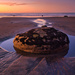 Beach boulder by dkbarnett