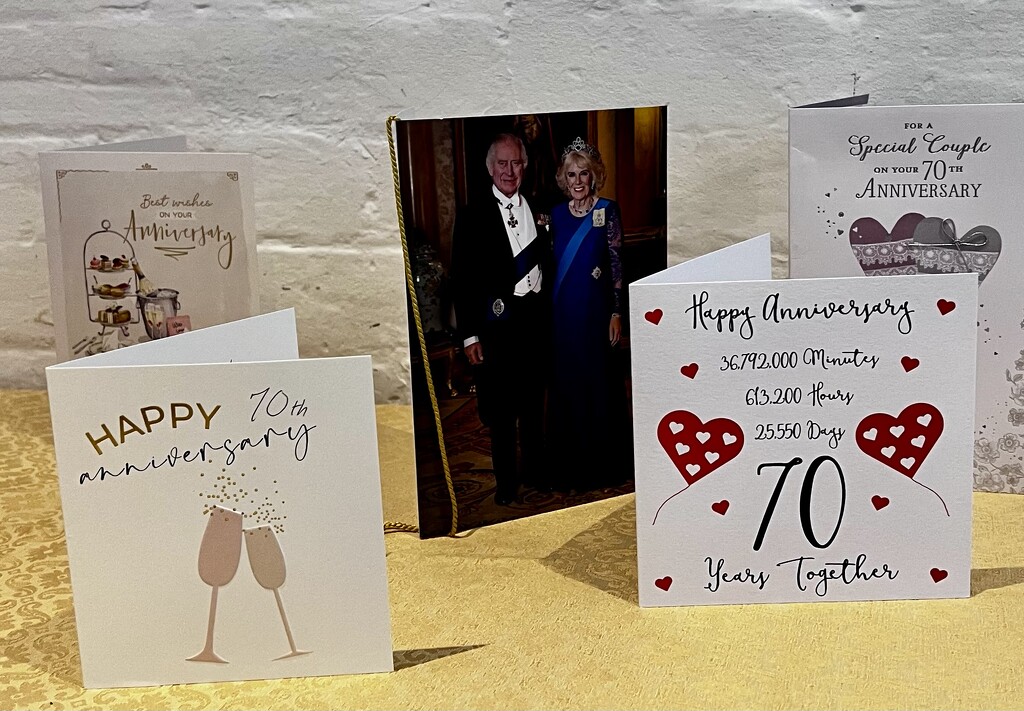 The in-laws 70th Wedding Anniversary by keeptrying