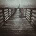 The Fishing Pier  by dkellogg