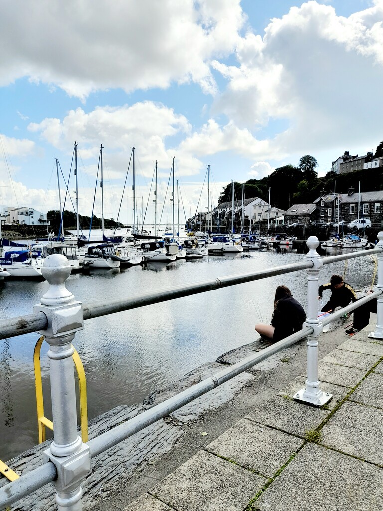 Harbour .. Porthmadog by beryl