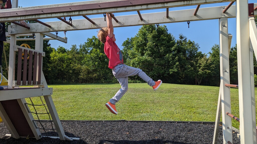 Crossing the Monkey Bars  by julie