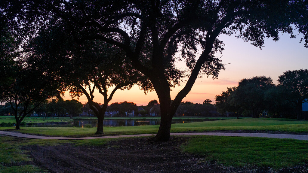 Sunset by the trees by ramr