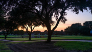 1st Aug 2023 - Sunset by the trees