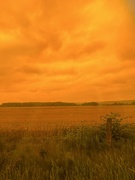 7th Aug 2023 - Sunrise through my orange tinted Sunglasses