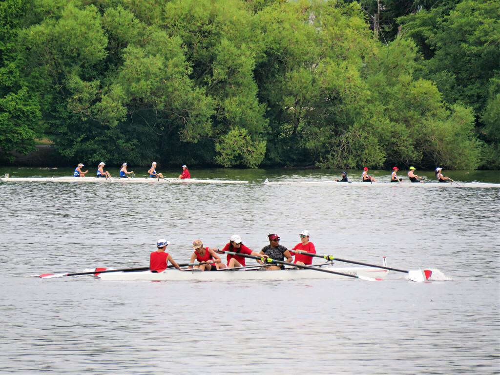 Rowing Races On Green Lake by seattlite