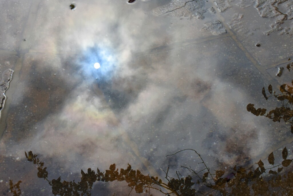 The sun reflected in a puddle on our patio by anitaw