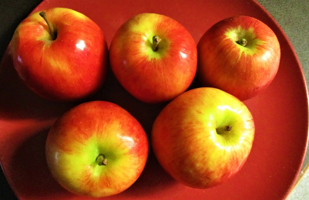 Five Apples. by grace55