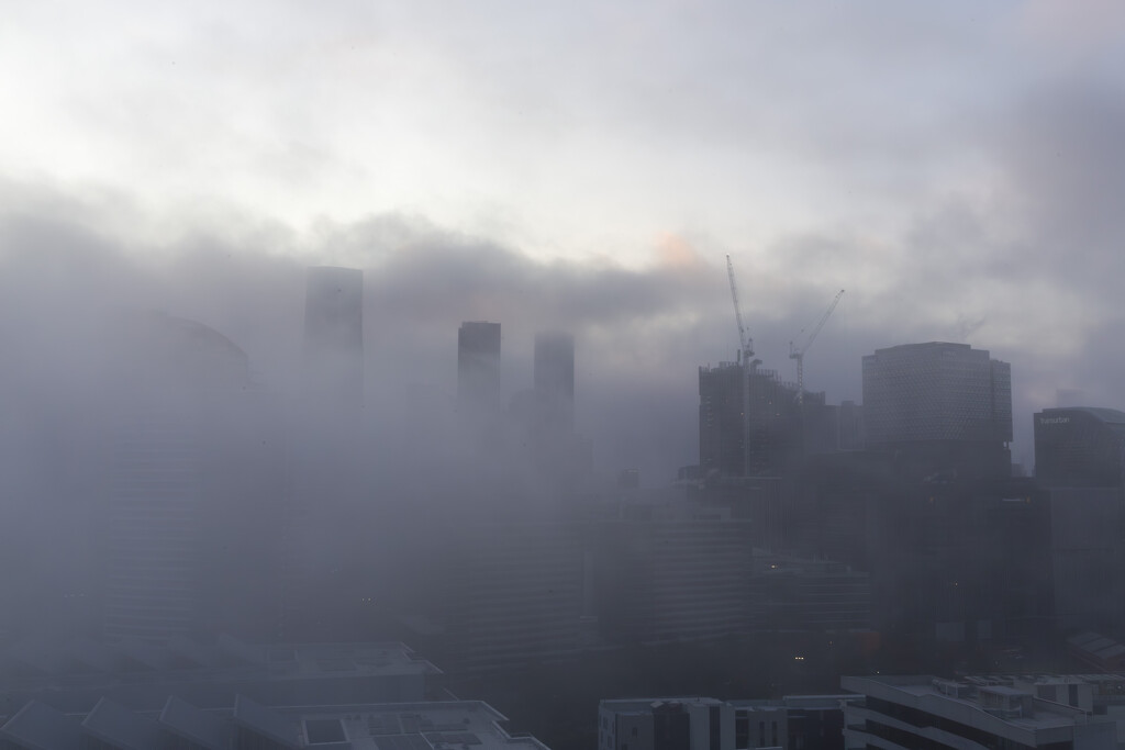 Foggy Morning by briaan