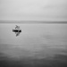 Calm on the Lake by aydyn