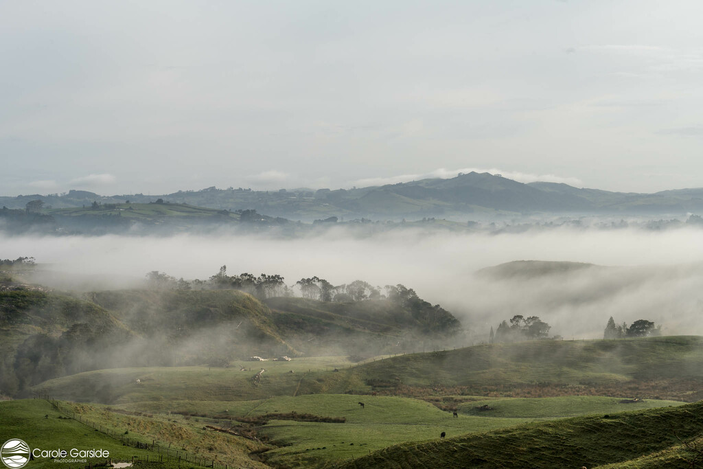 Fog in the Valley by yorkshirekiwi