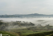 8th Aug 2023 - Fog in the Valley