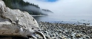 8th Aug 2023 - Foggy Beach