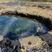 Tide Pool by kimmer50