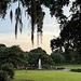 Hampton Park fountain and Spanish moss at dusk by congaree
