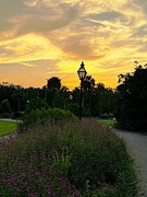 8th Aug 2023 - Golden sunset at Hampton Park
