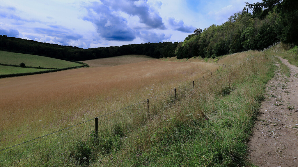 View across the Chilterns...........840 by neil_ge