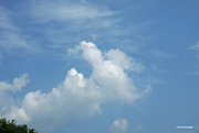 8th Aug 2023 - Sunny day cloudscape