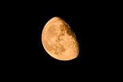 5th Aug 2023 - Waning Sturgeon Moon