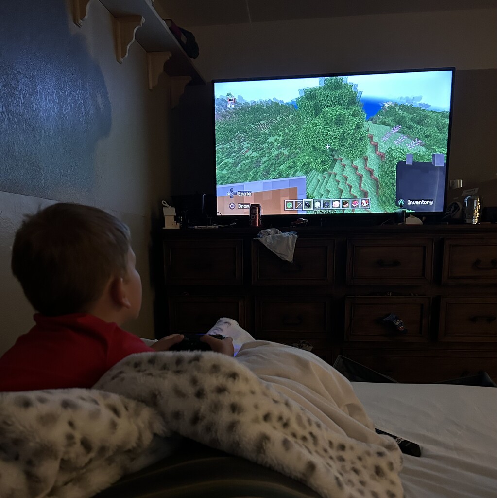 Minecrafting by bellasmom