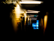 8th Aug 2023 - the hallway