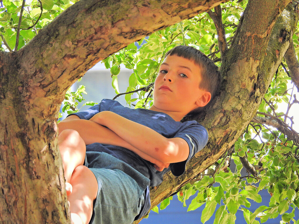 L.S. - Boy in Repose by juliedduncan