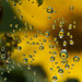 More droplets by fayefaye