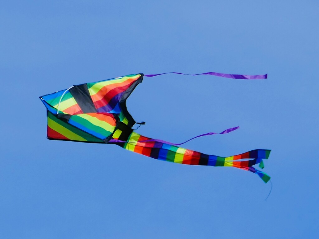 kite flight by cam365pix