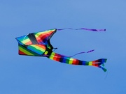 26th Jul 2023 - kite flight