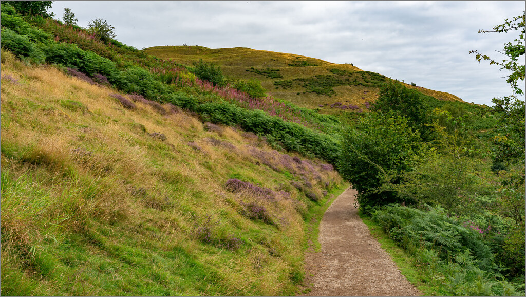 Part of the Malverns by clifford