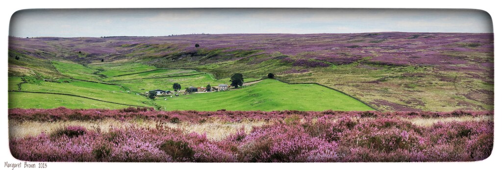 Sleddale from Percy Cross Rigg by craftymeg