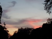 5th Aug 2023 - Pink clouds