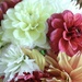 Dahlias from my sister-in-law’s garden by mltrotter