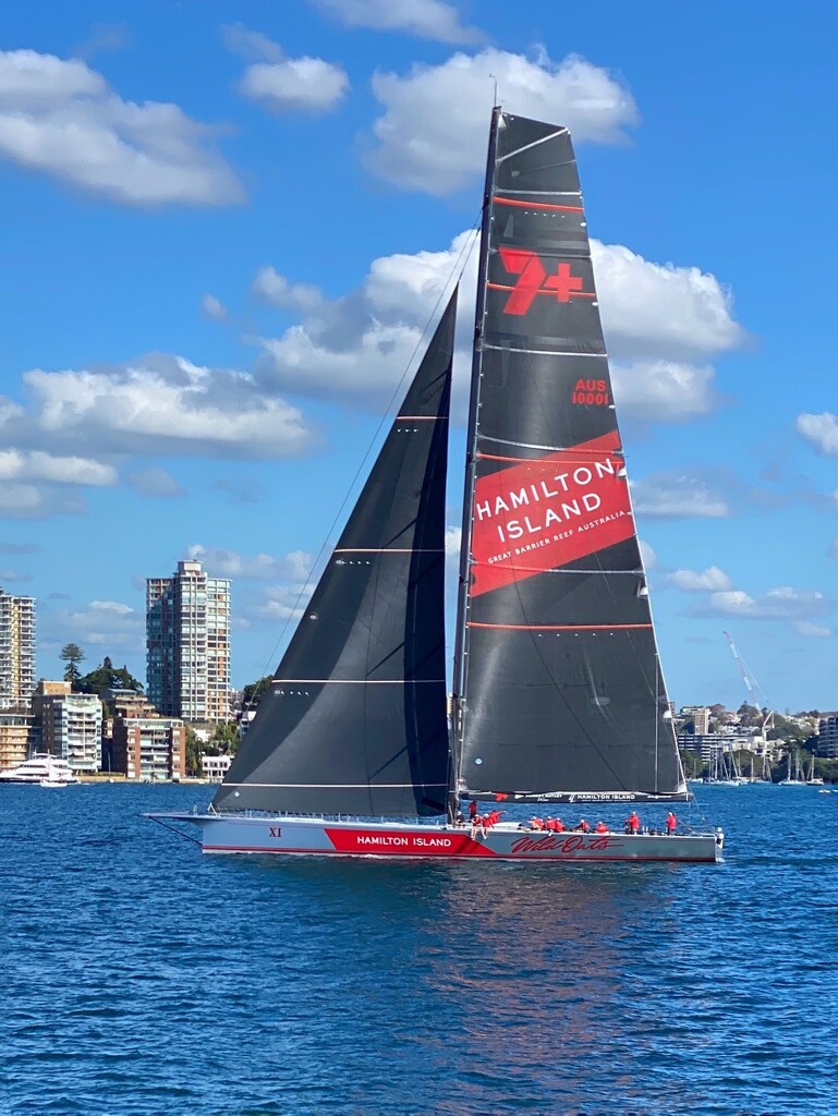 Wild Oats ocean racing yacht on Sydney Harbour by johnfalconer